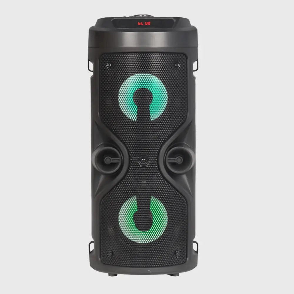 T2
