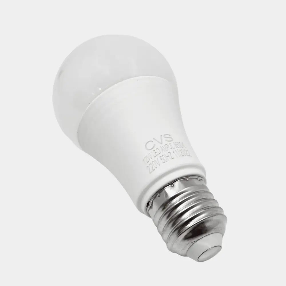 SET 10 KOM-LED SIJALICA 12 W